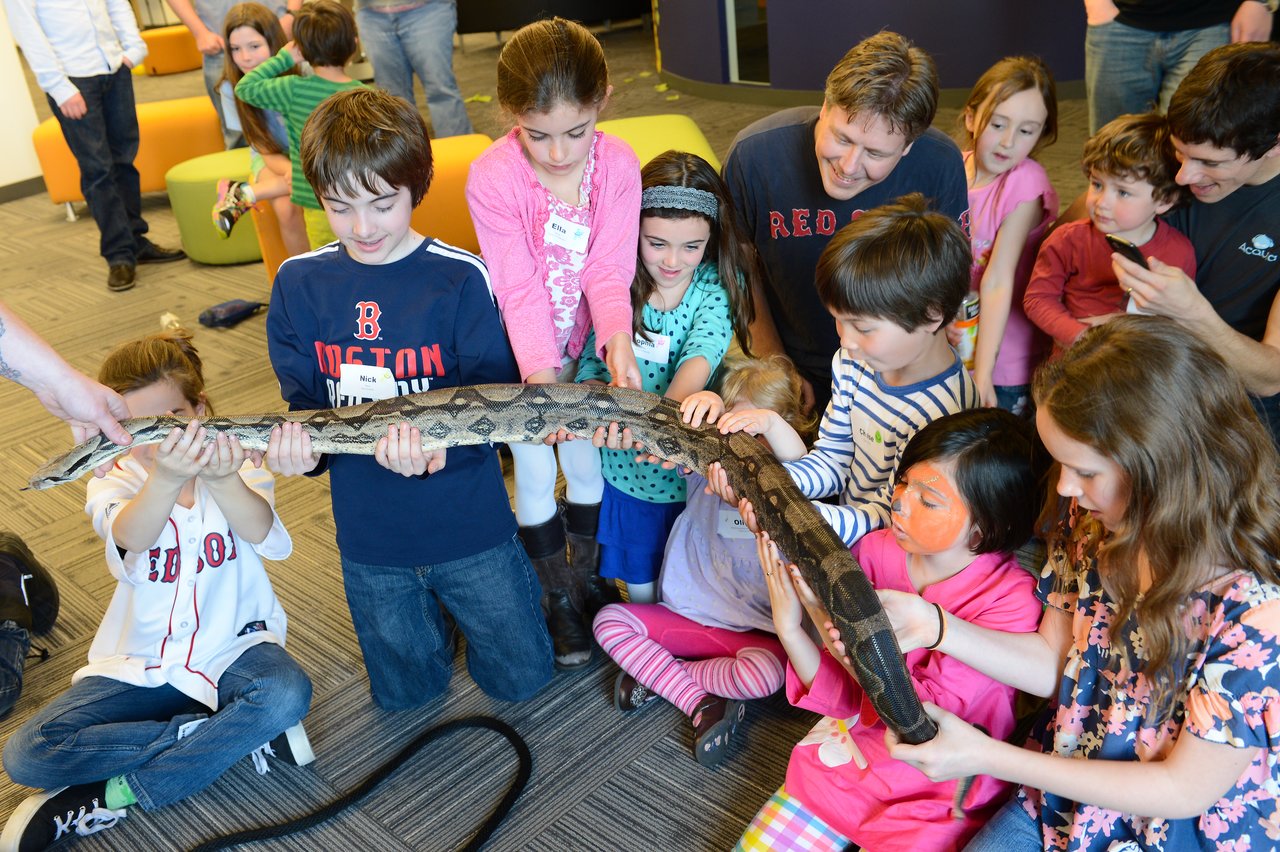 A group of children and adults hold and touch a large snake during an interactive activity.