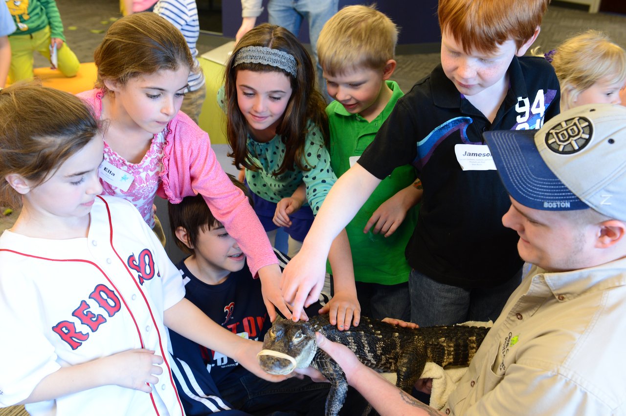 A group of children excitedly touch a small alligator held by a handler during an interactive event.