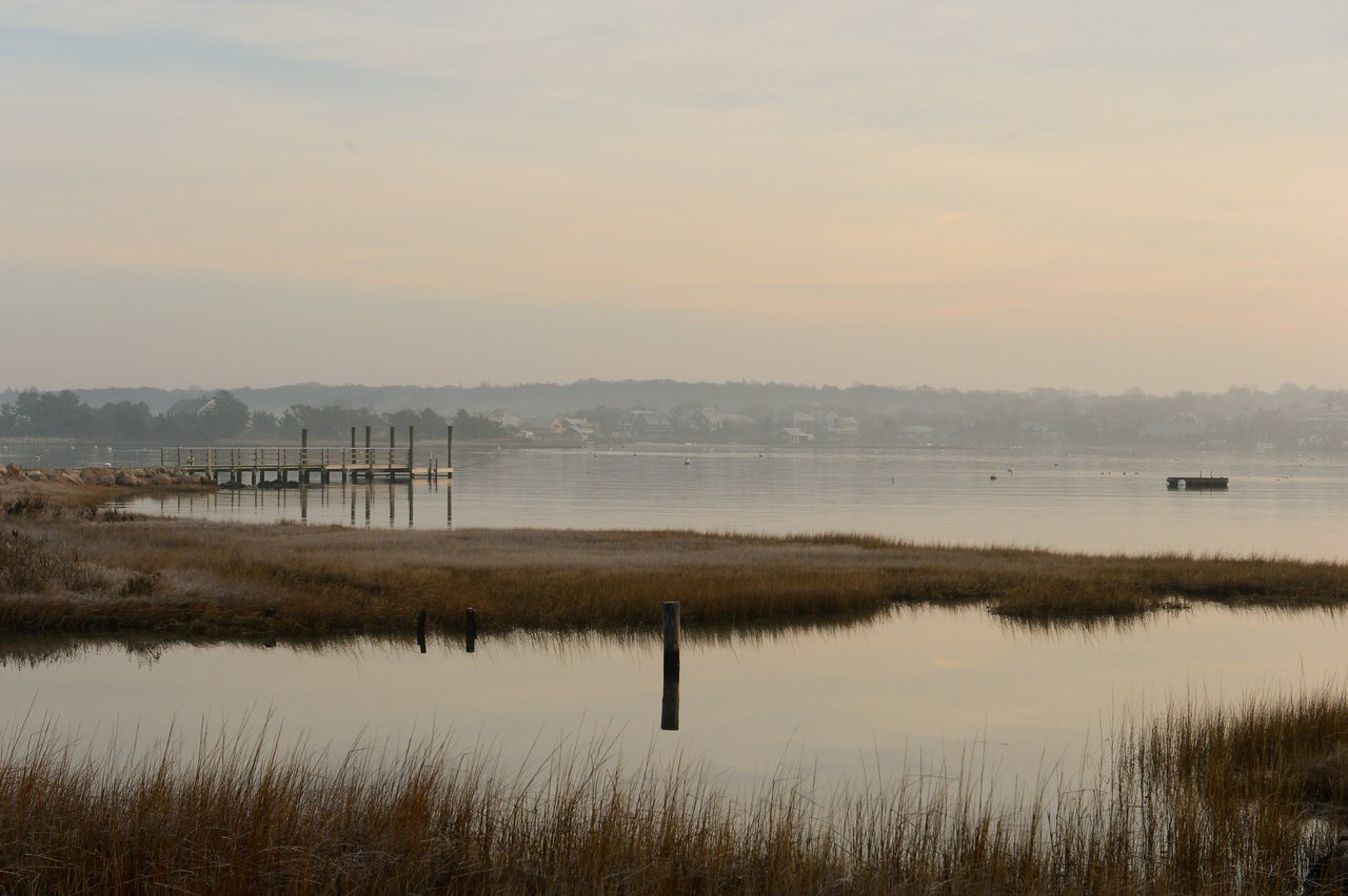 A calm waterfront scene with a wooden dock extending into still water, surrounded by marshy grass.
