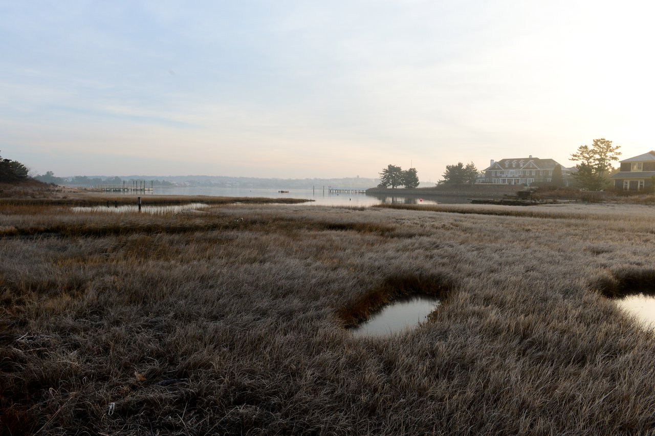 A marshy landscape with small water pools, houses in the background, and a dock extending into the water.
