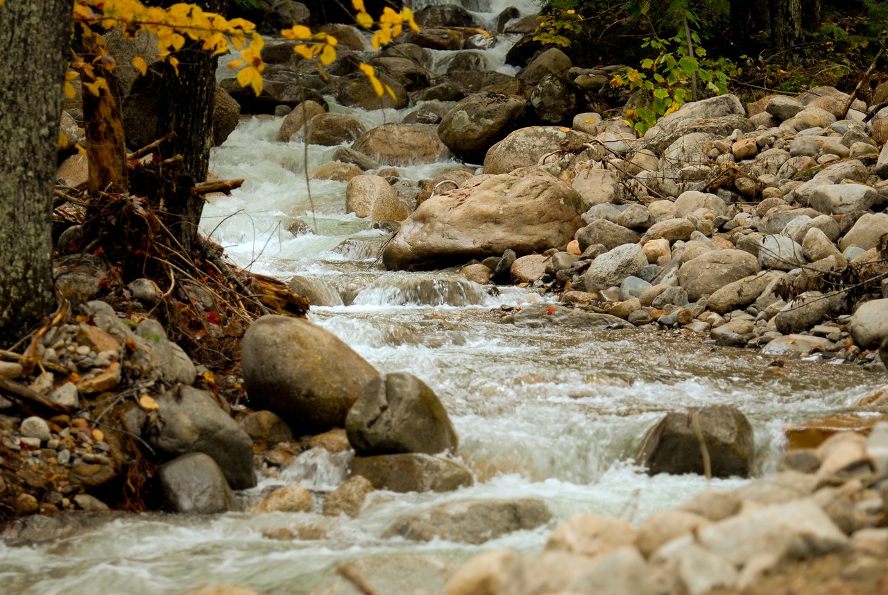 A rocky stream flows through a forested area with clear water moving over and around large stones.