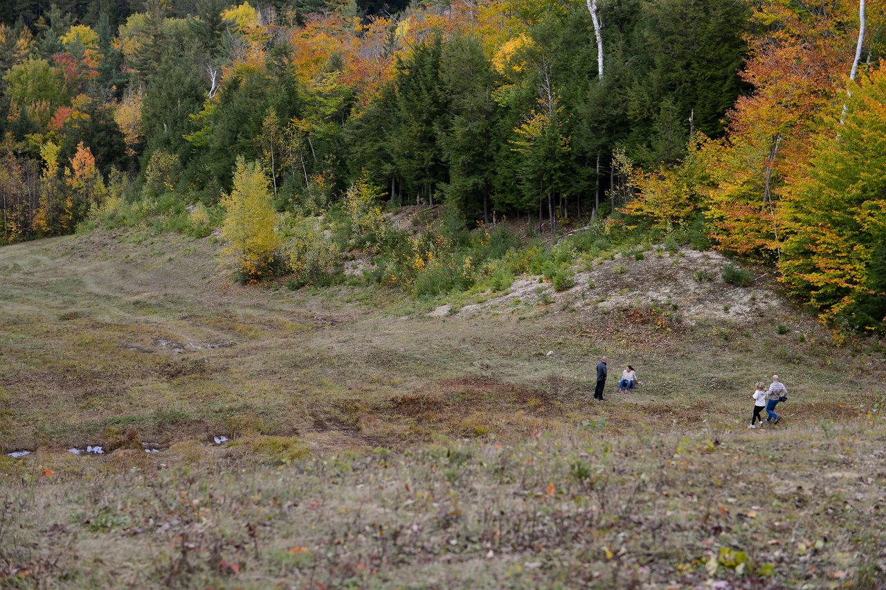 A small group of people walks and sits on a grassy hillside surrounded by trees with autumn foliage.