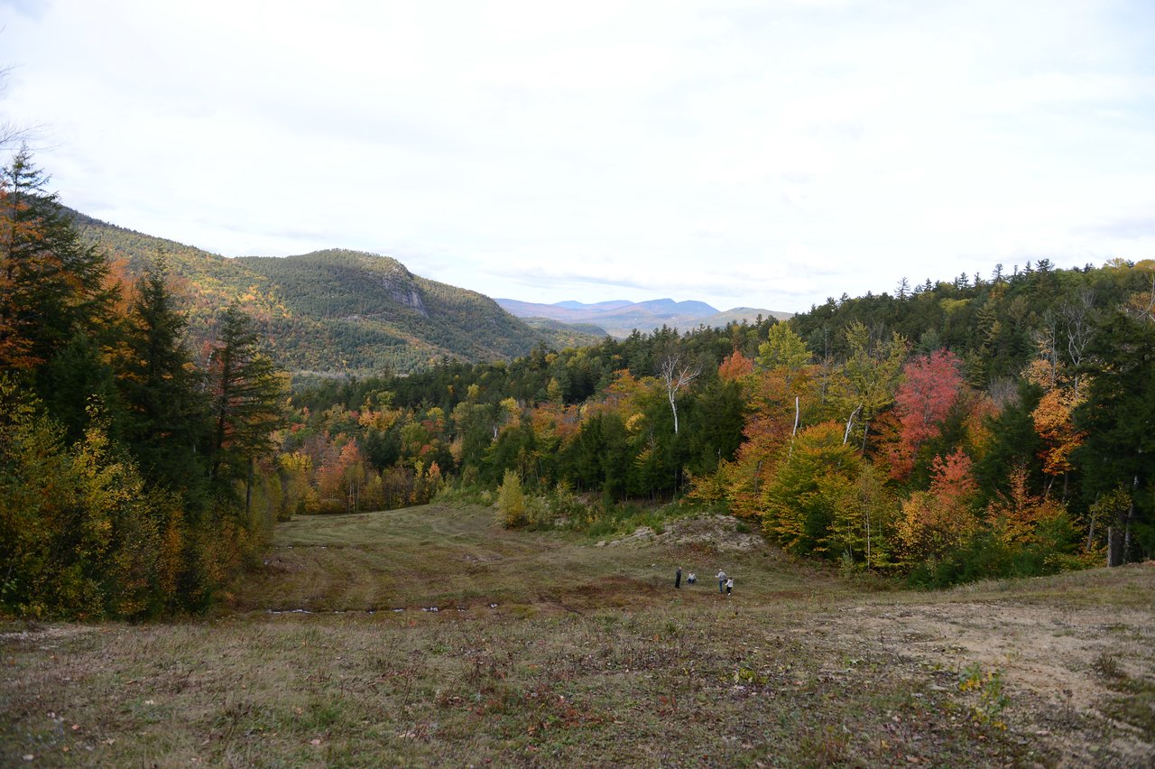 Two people walk down a grassy hill surrounded by colorful autumn trees with mountains in the background.