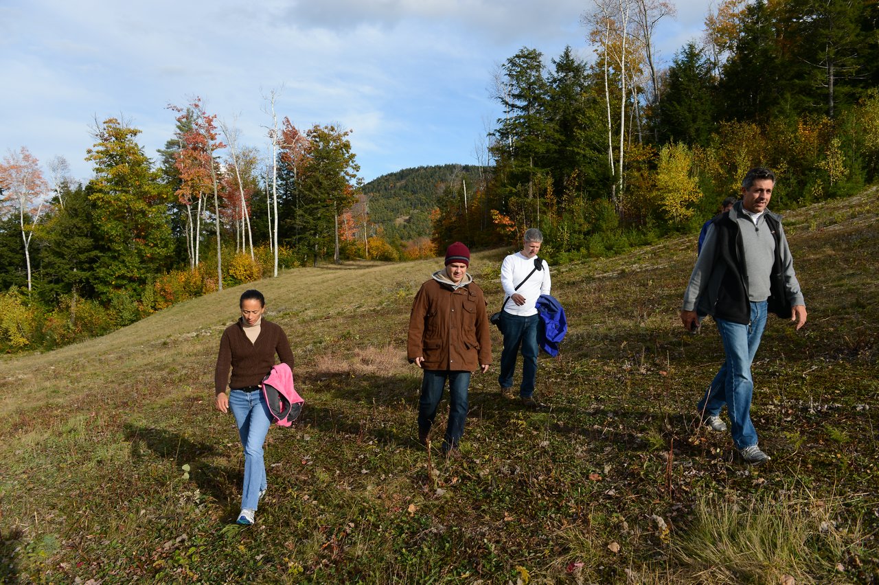 Four people walk down a grassy hillside surrounded by trees with autumn colors, carrying jackets.