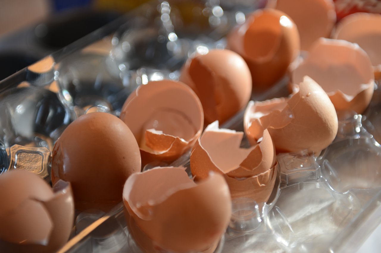 Broken brown eggshells scattered in a clear plastic egg carton.