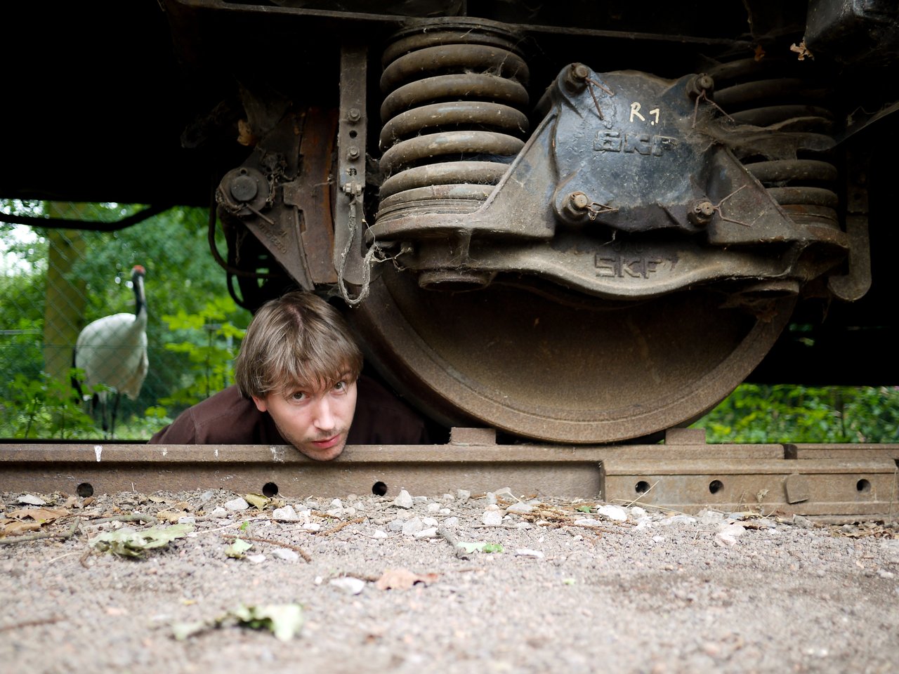 A man crouches under a train wheel, looking out from beneath the train.