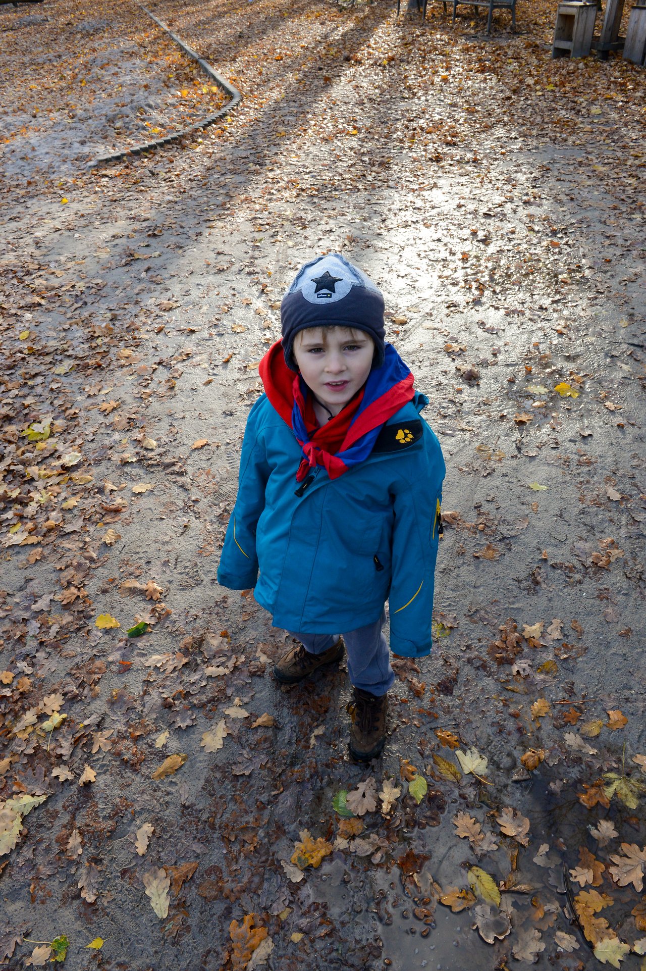 A child in a blue jacket and hat stands on a leaf-covered path, looking up at the camera.