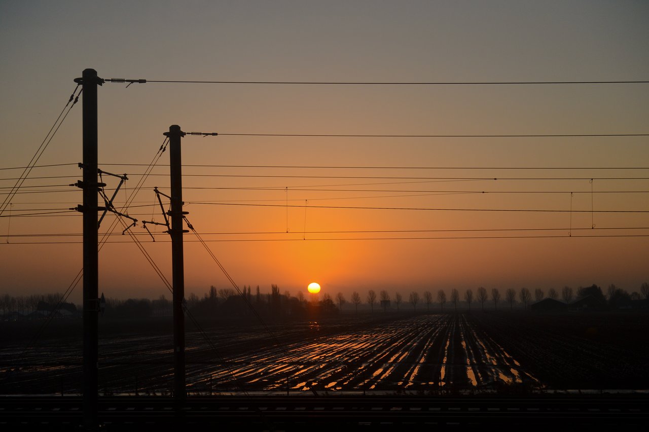 Sunset view from a train window, with power lines and fields reflecting the warm light.