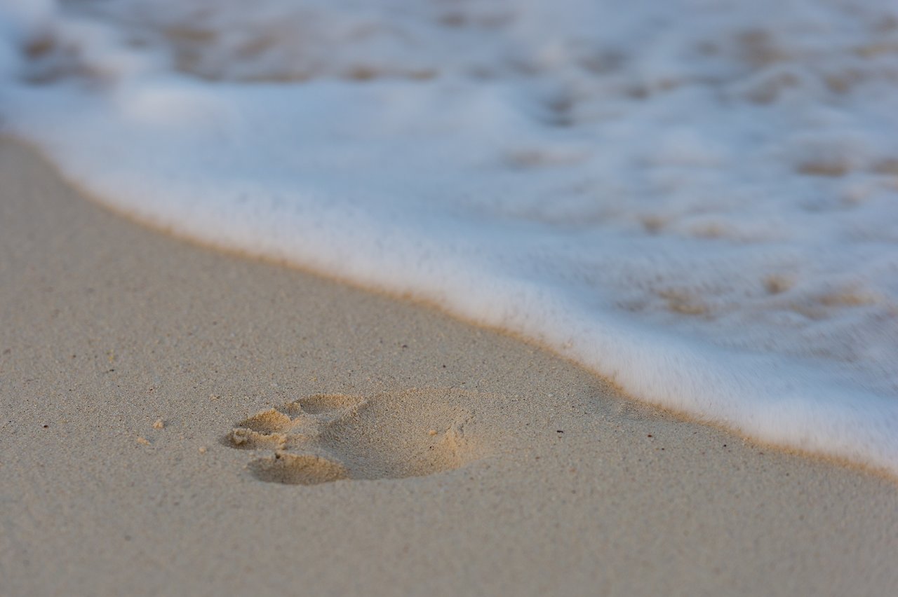 A single footprint in the sand near the shoreline as a wave approaches.