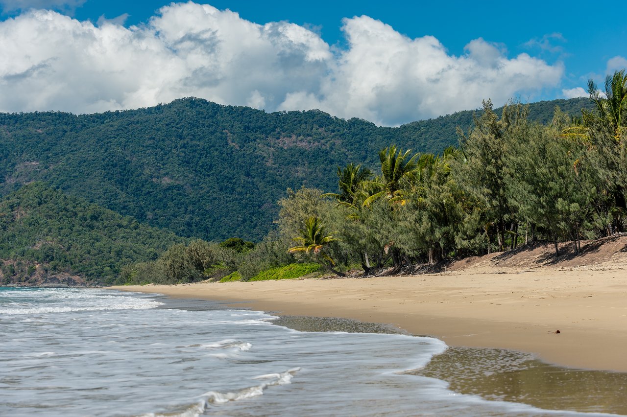 A sandy beach with gentle ocean waves, lined with palm trees, and backed by green mountains under a blue sky.