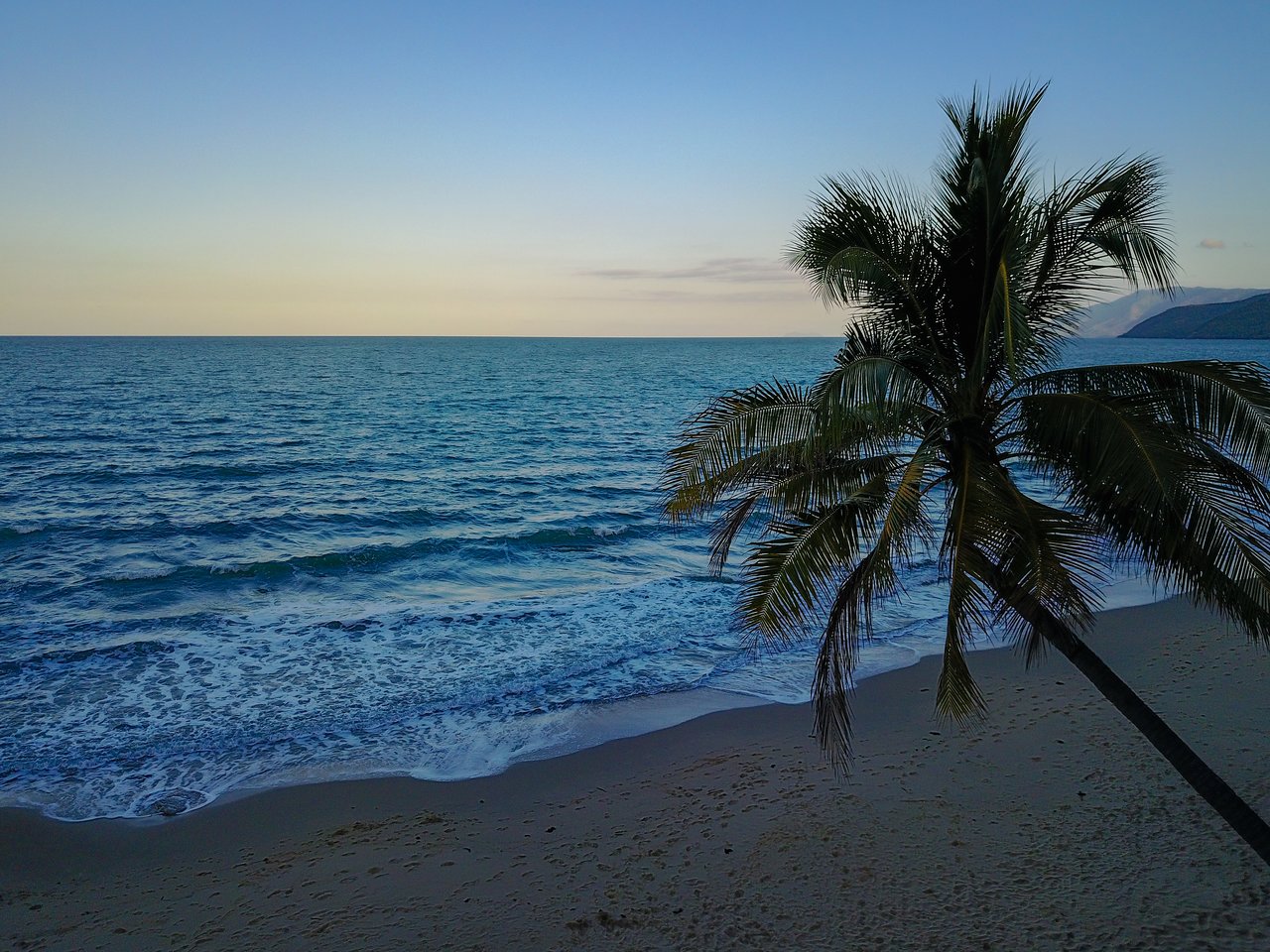 A palm tree leans over a sandy beach with ocean waves gently reaching the shore under a clear sky.