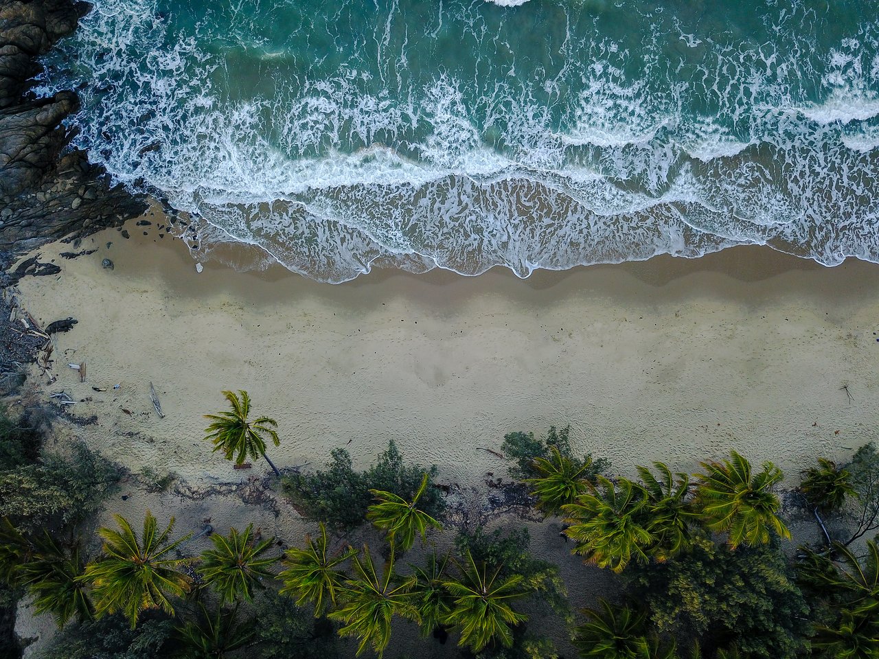 Waves crash onto a sandy beach lined with green palm trees, viewed from above.