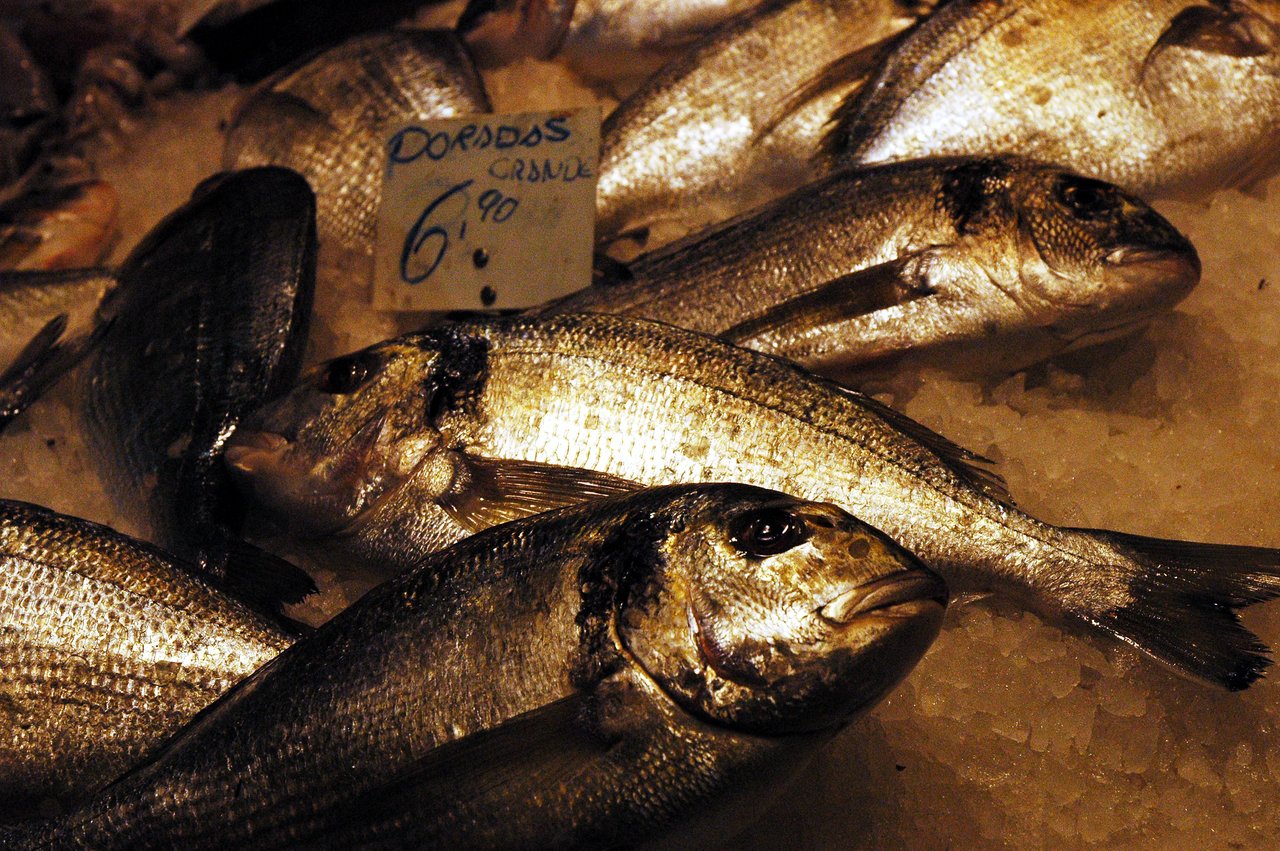 Fresh fish displayed on ice at a street market, with a price sign reading "Dorados Grande 6.