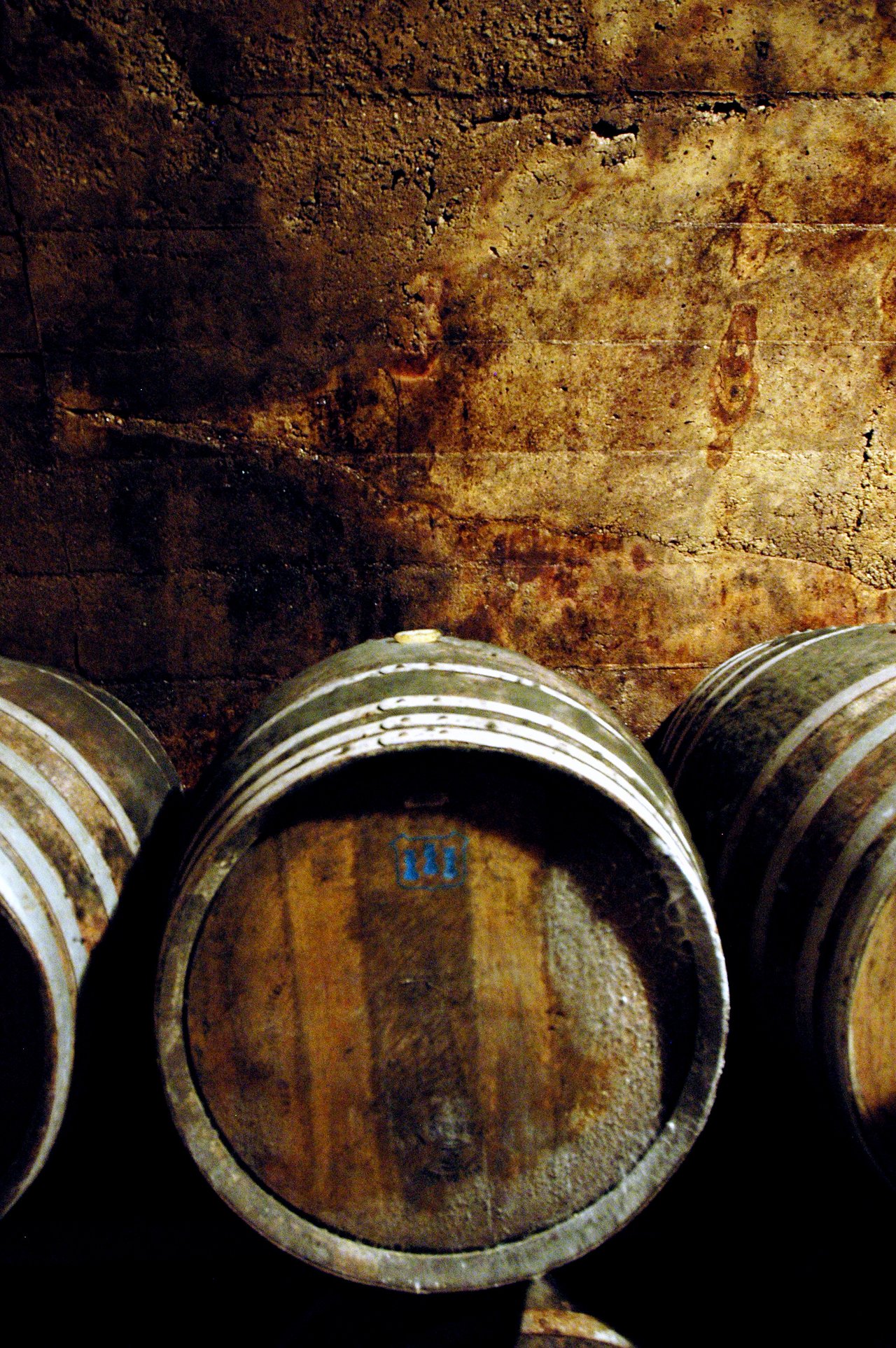 Wooden wine barrels stacked against a rough, aged wall in a dimly lit cellar at Torres vineyard.