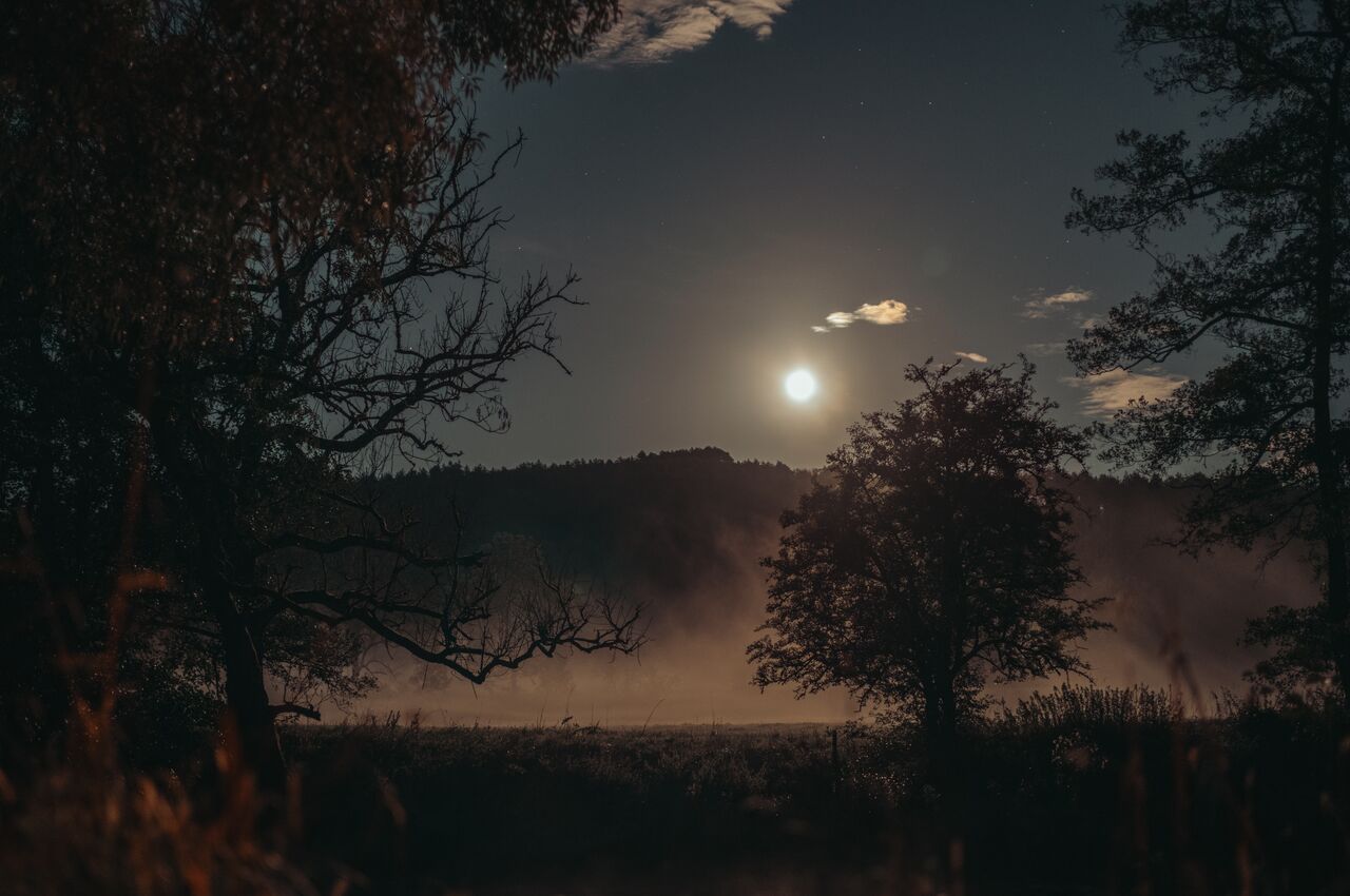 A bright moon glows in a dusky sky above a misty meadow, with dark trees in the foreground.