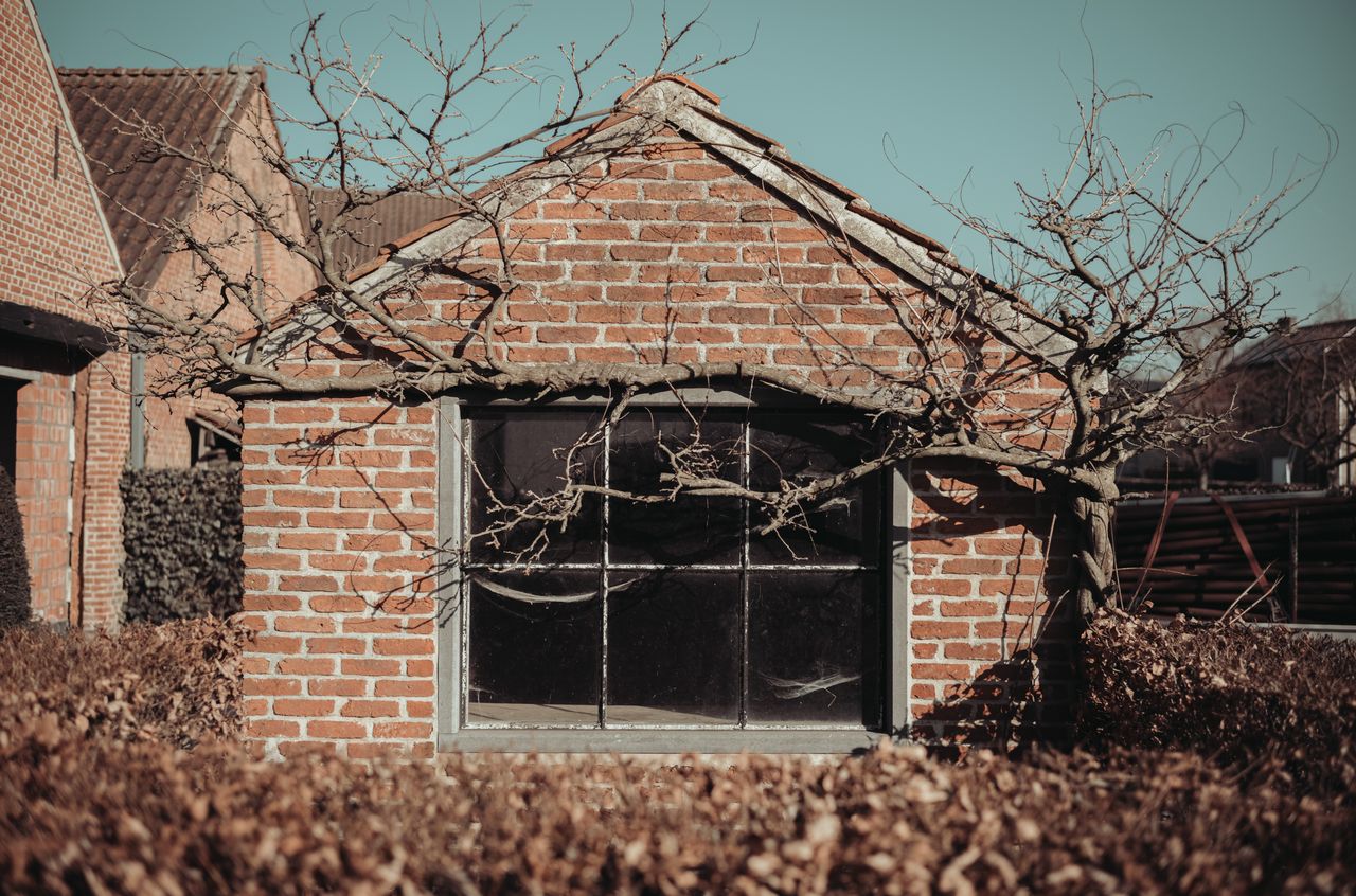 A small brick shed with a large window, surrounded by bare vines, set to be removed for a garage.