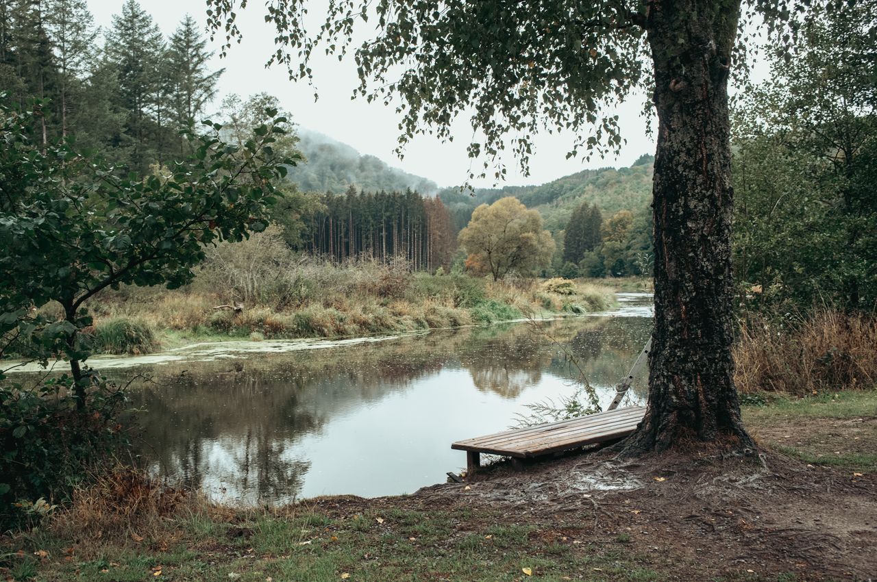 A calm river flows through a green landscape with trees, a wooden bench, and distant hills in view.
