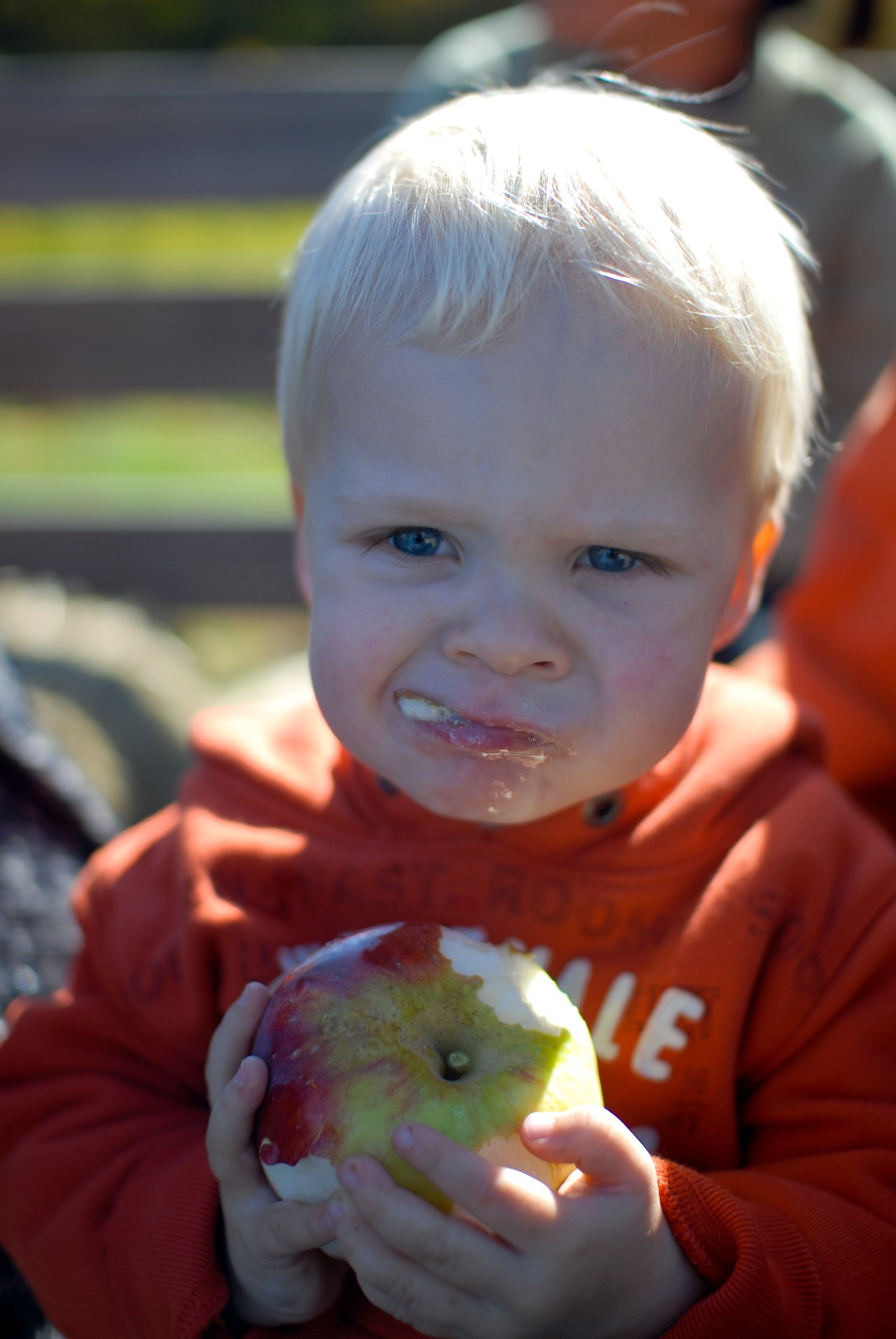A young child in an orange sweater holds a partially eaten apple and chews with a messy face.