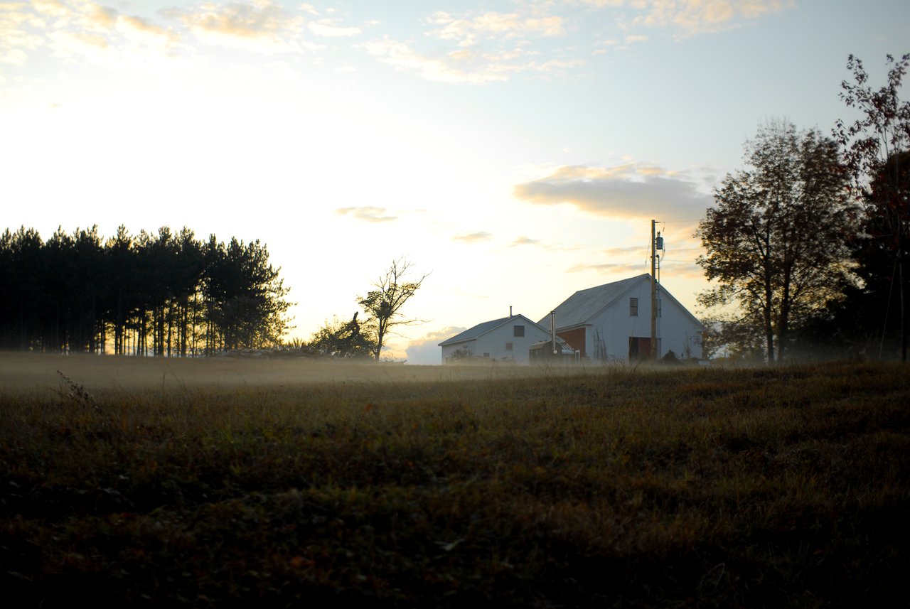 A white barn and smaller buildings sit in a misty field with trees in the background at sunrise.