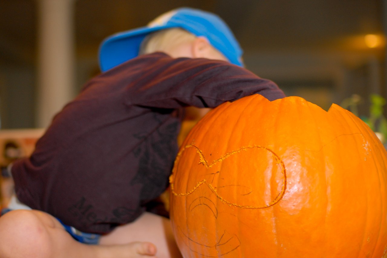 A child wearing a blue cap scoops out the inside of a carved pumpkin during Halloween preparations.