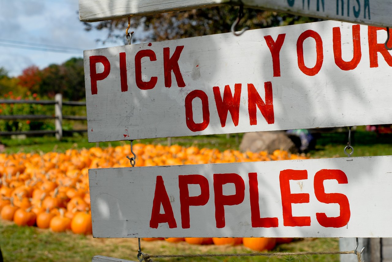 A wooden sign with red letters reads "Pick Your Own Apples" at a farm, with pumpkins in the background.