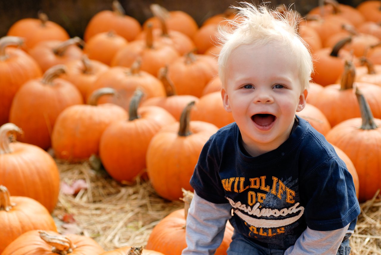 A smiling young child sits among bright orange pumpkins, looking excited and happy.