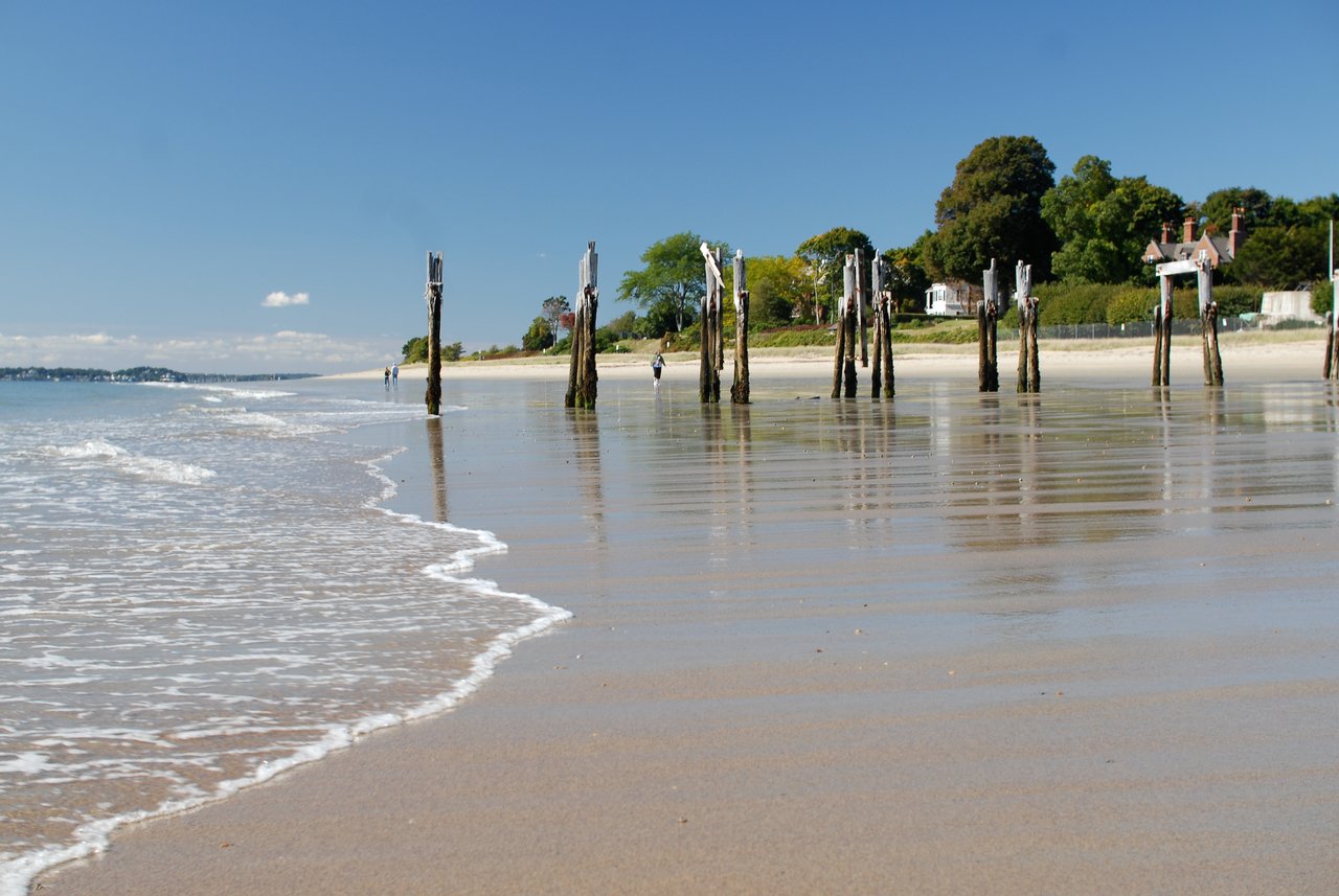 Wooden pilings stand in the wet sand as small waves reach the shore.
