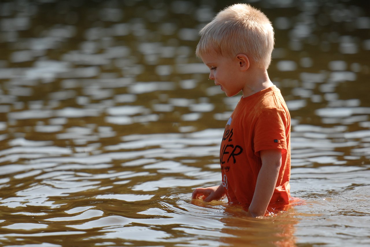 A young child in an orange shirt wades through shallow water, looking down with a focused expression.