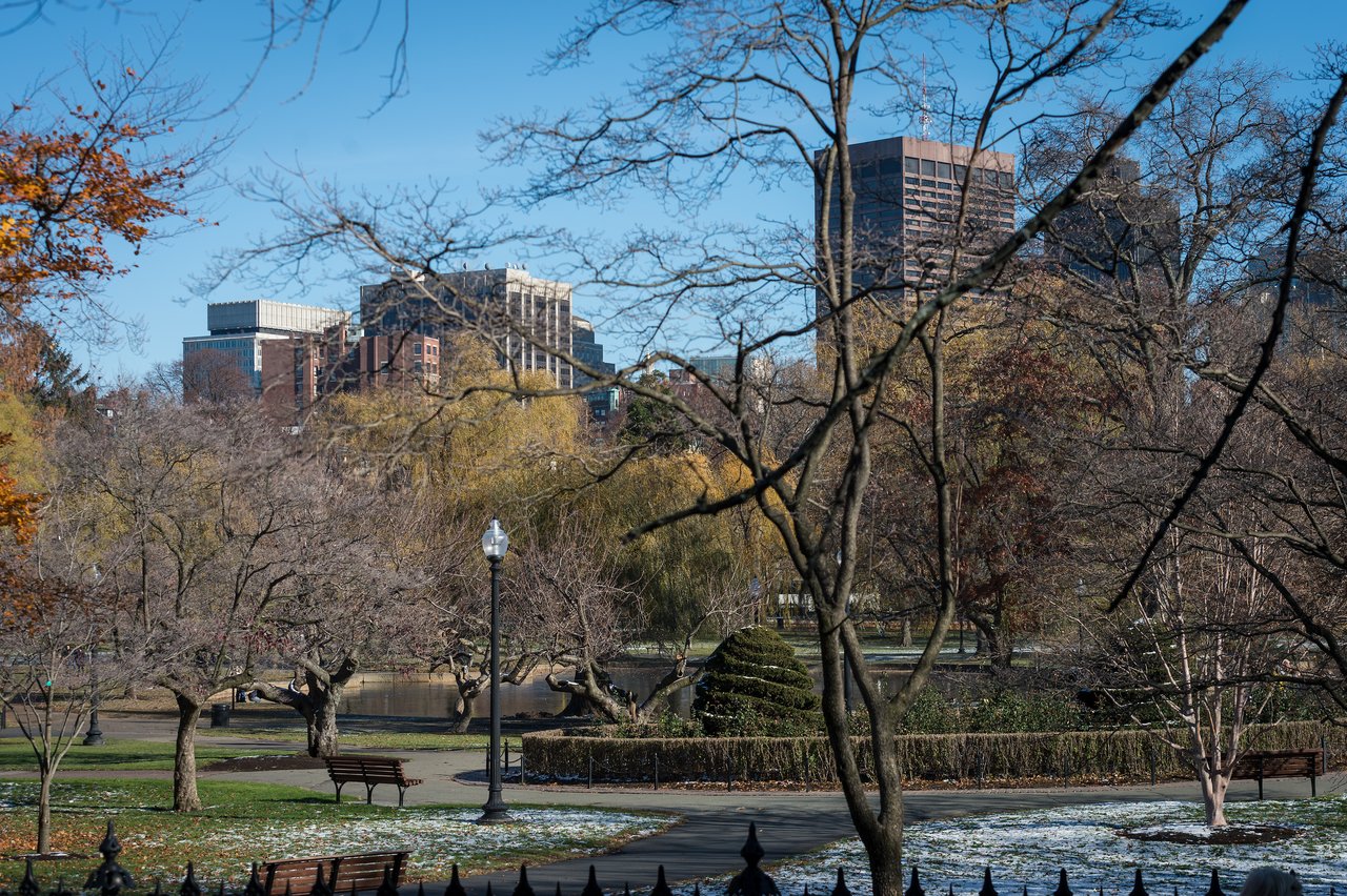 A city park with bare trees, benches, and a pond, with tall buildings visible in the background.