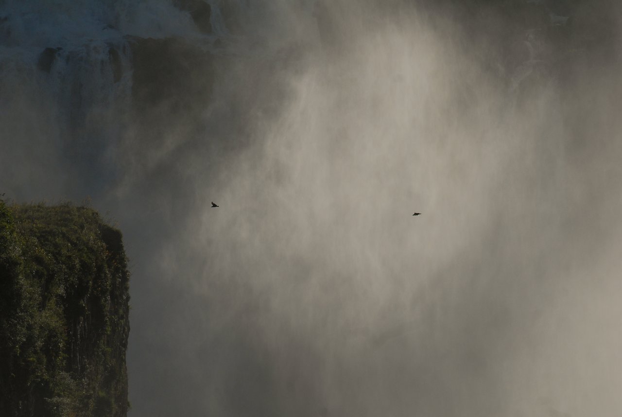 Two birds fly through mist rising from Iguazu Falls, with a steep, green cliff visible on the left.