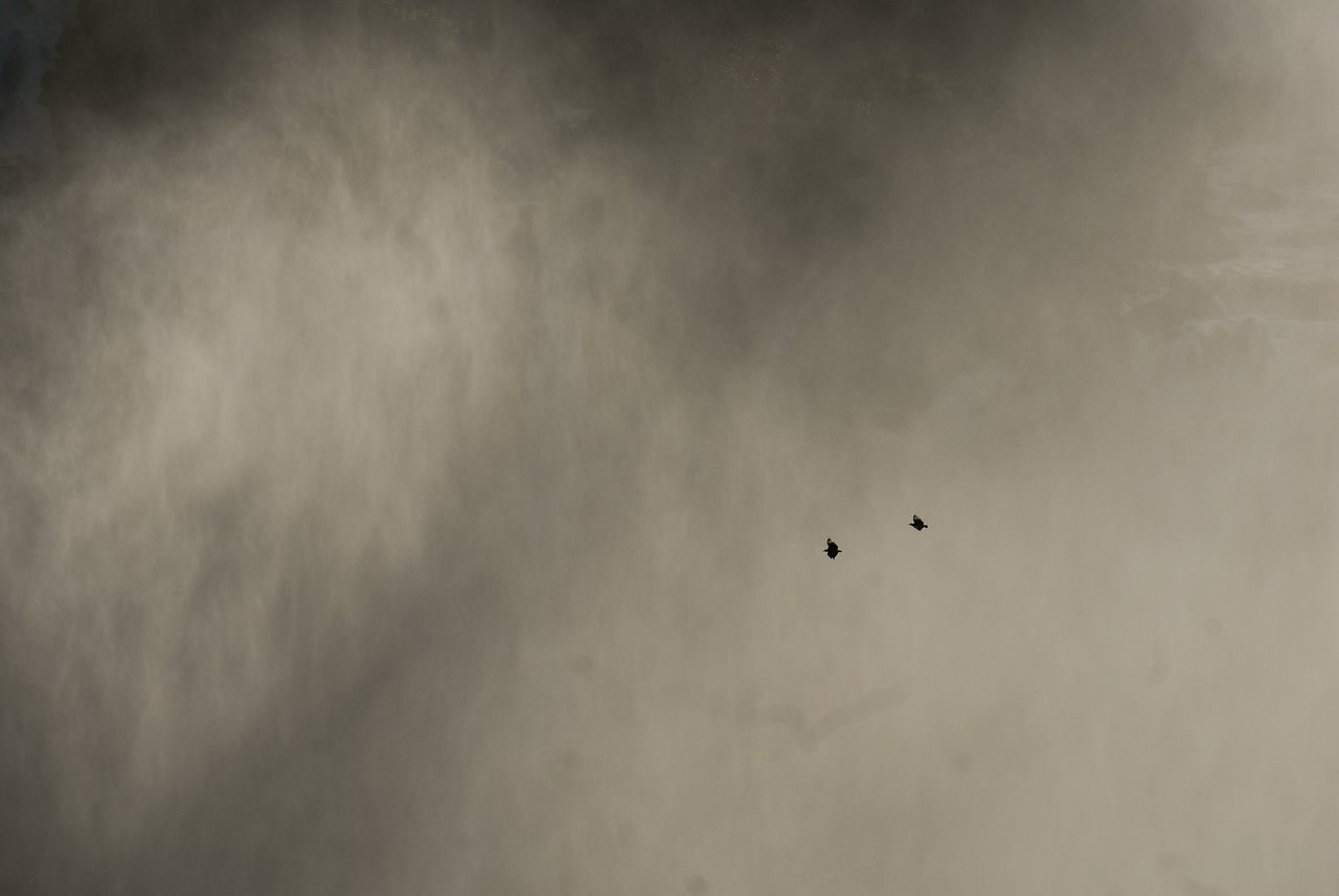 Two birds fly in front of the misty, powerful Iguazu Falls.