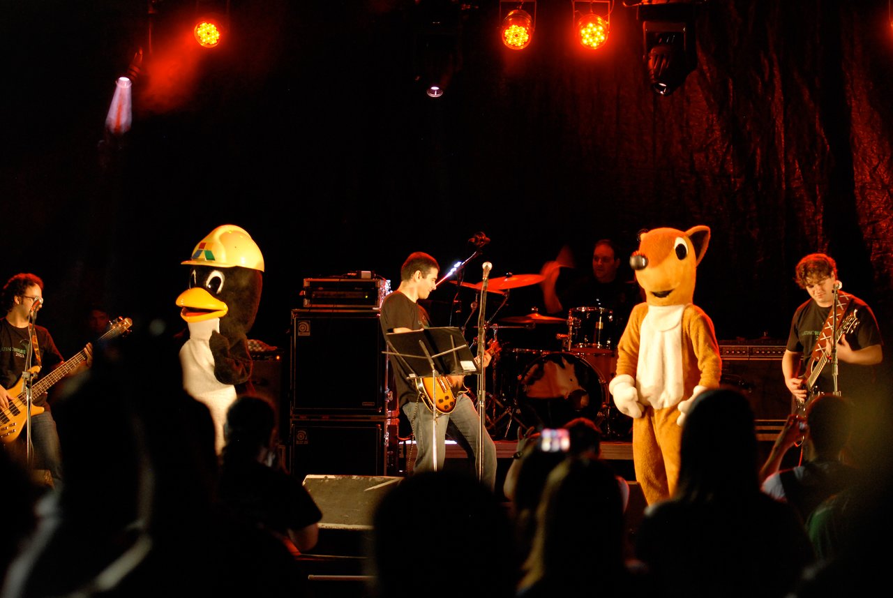 A rock band performs on stage with two people in animal costumes, including a penguin wearing a hard hat.