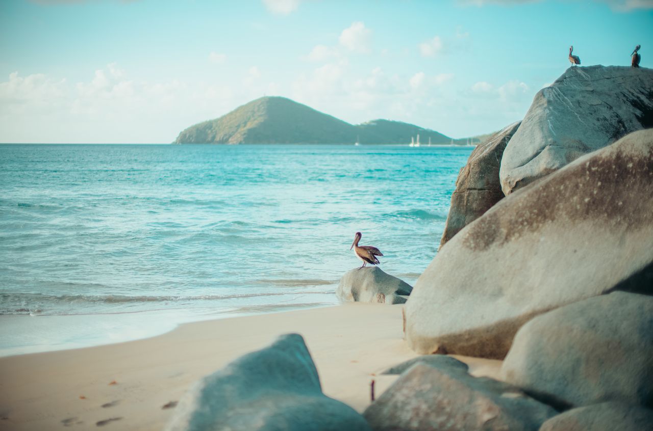 A pelican stands on a rock near the shoreline, with the ocean and distant islands in the background.