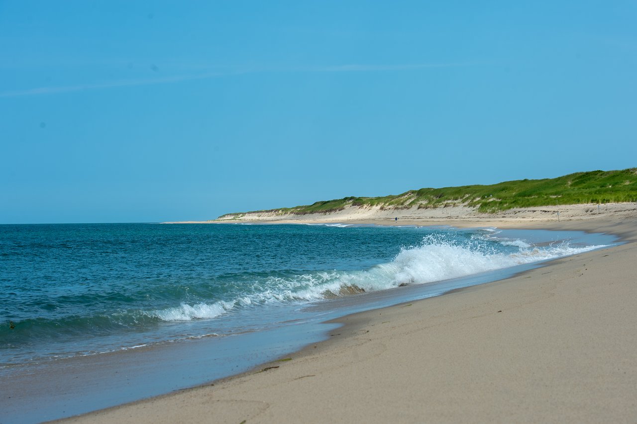 Waves crash onto a sandy beach with grassy dunes in the background along the Dune Shacks Trail in Provincetown.
