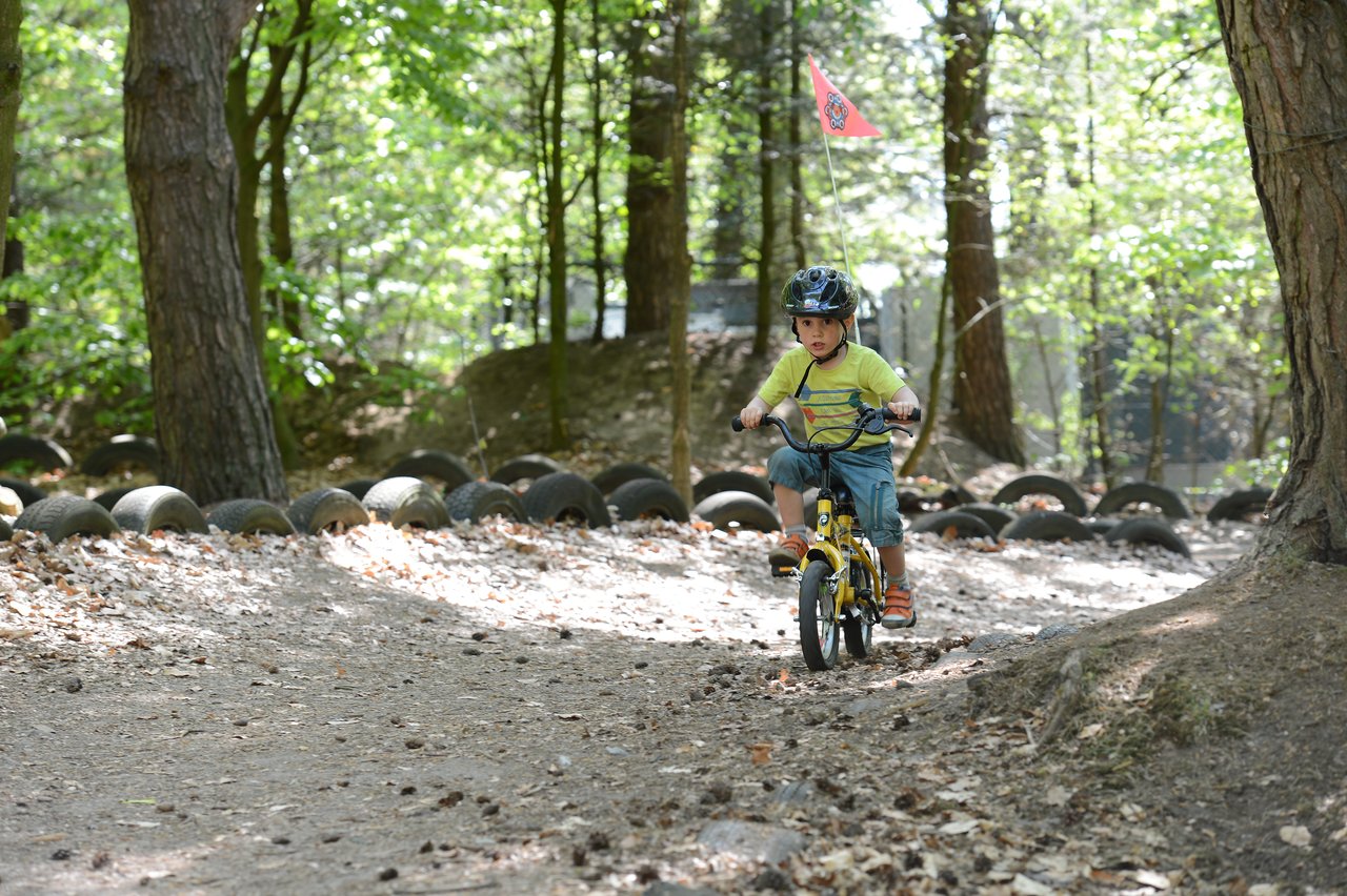 A young child wearing a helmet rides a small bicycle on a dirt path in a wooded area.