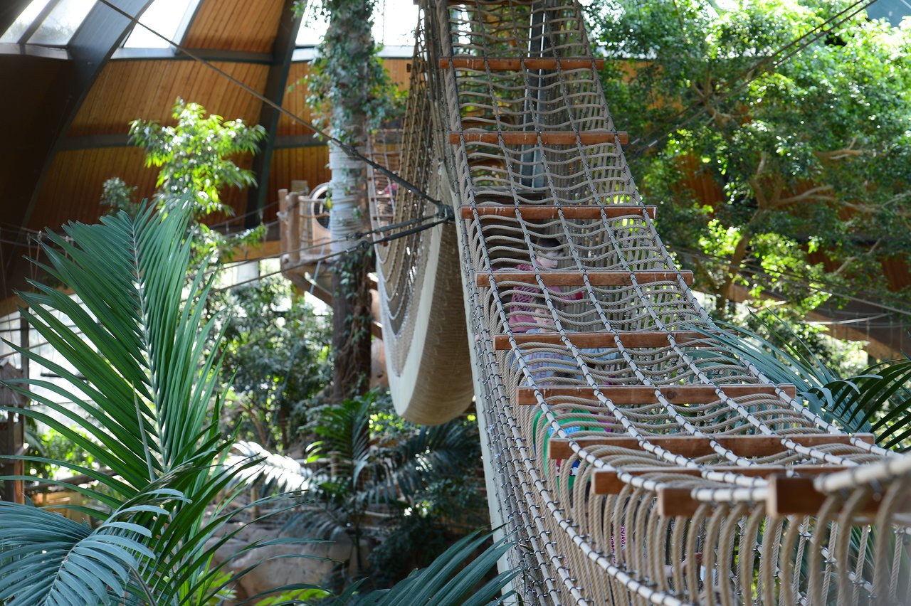 A large rope bridge stretches across an indoor tropical area with wooden beams and green plants.