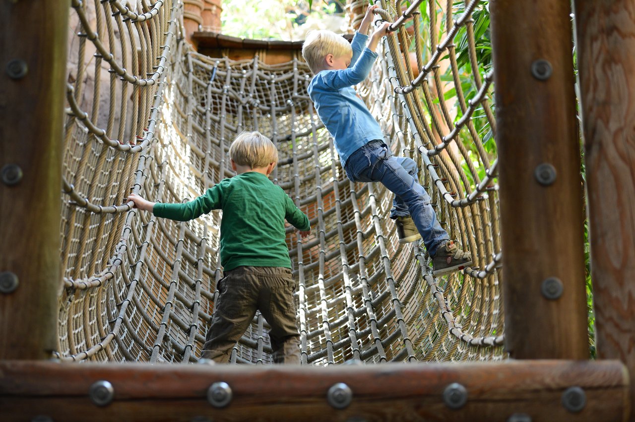 Two children climb a rope bridge, holding onto the netting for support in an outdoor play area.