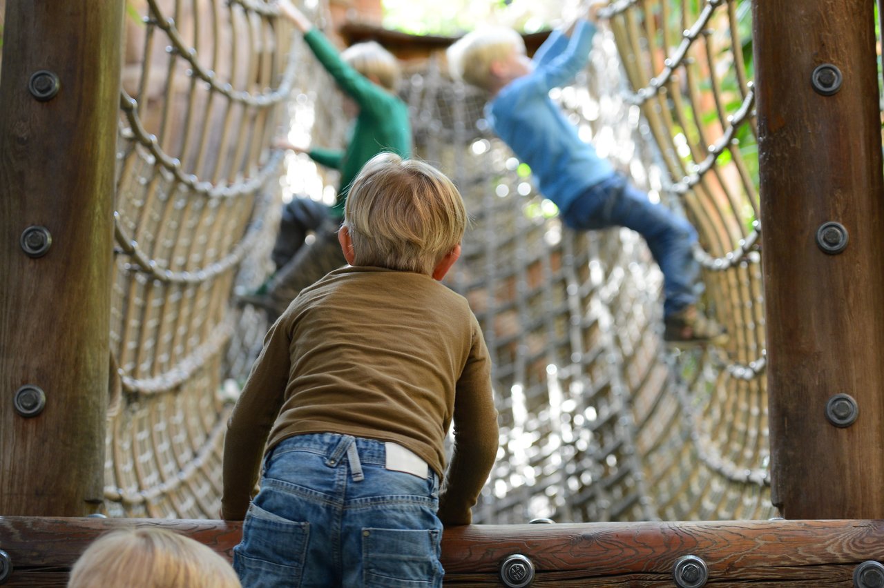 A child in a brown shirt watches two other children climbing a rope bridge at a playground.