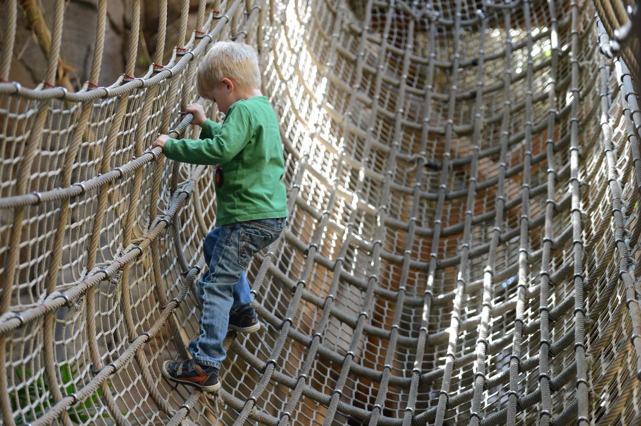 A young child in a green shirt climbs a rope tunnel, carefully holding onto the sides for support.