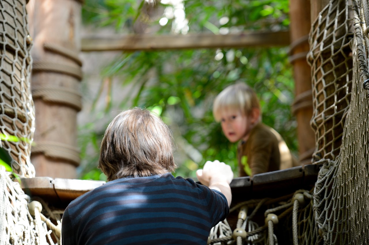 An adult reaches out to a young child on a rope bridge in an outdoor play area.
