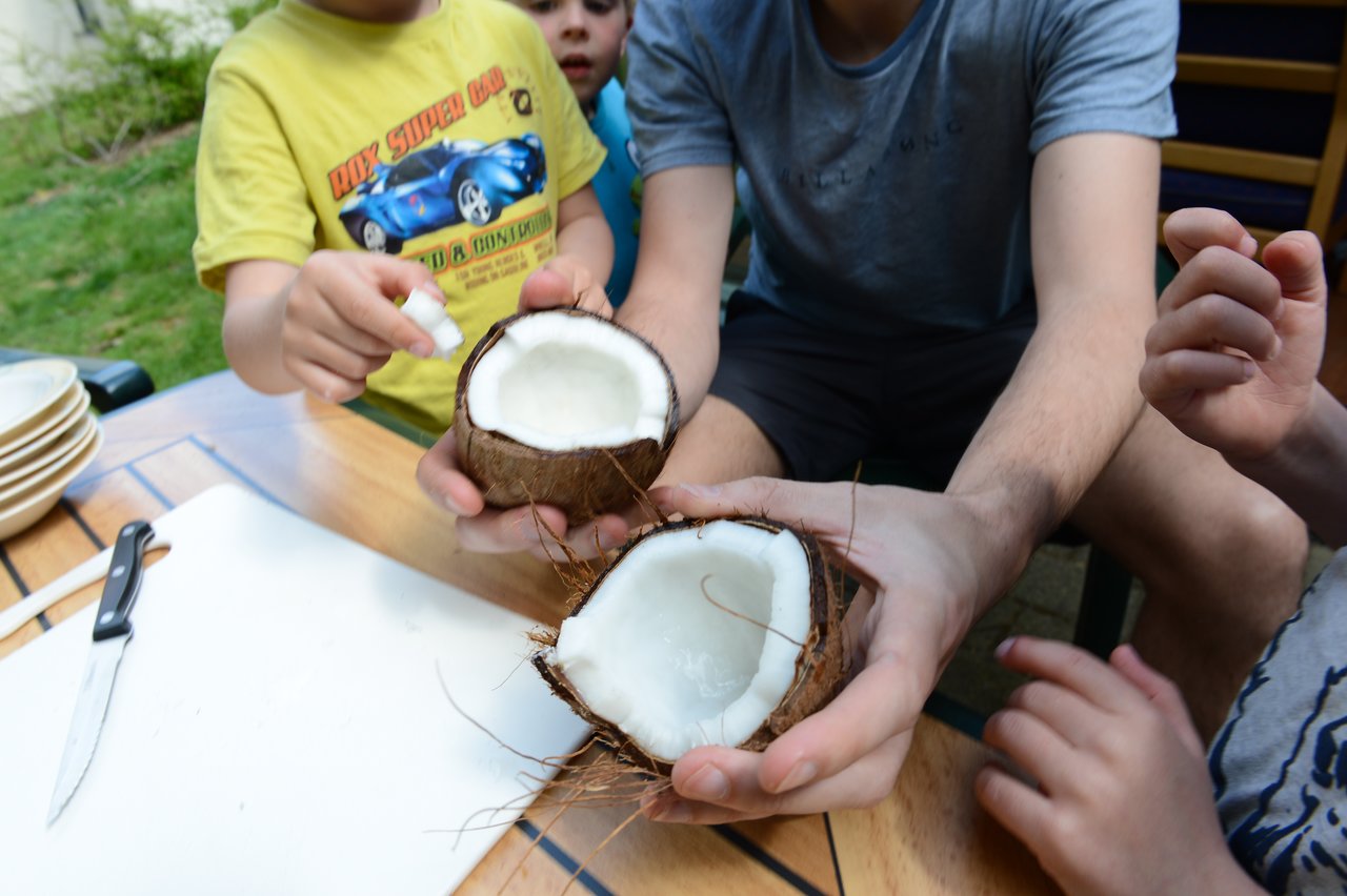 A person holds two halves of a freshly opened coconut while children reach out to touch the white flesh.