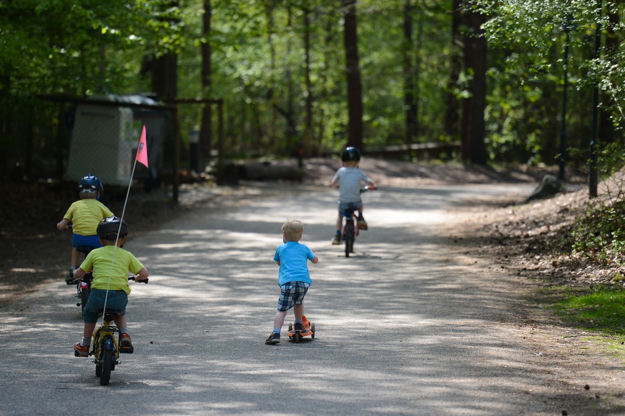 Four children ride bikes and a scooter on a paved path through a wooded area, wearing helmets for safety.
