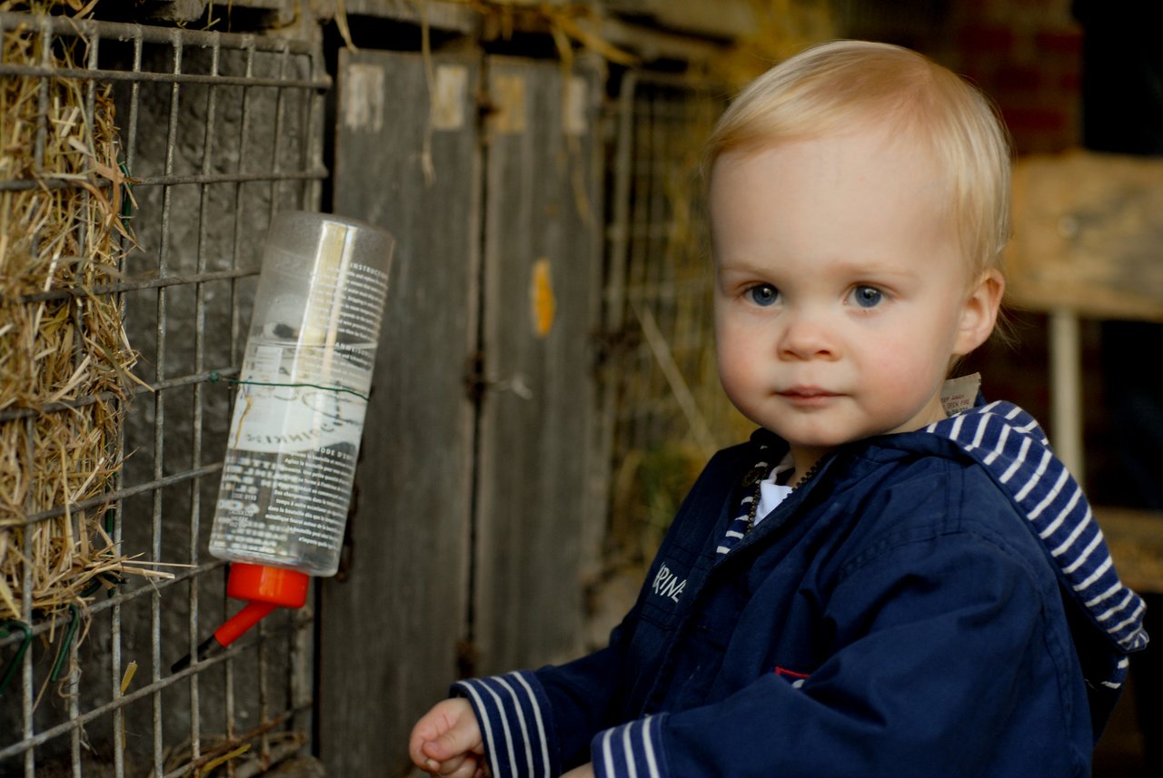 A young child in a blue jacket stands near a rabbit cage, appearing to help with feeding.