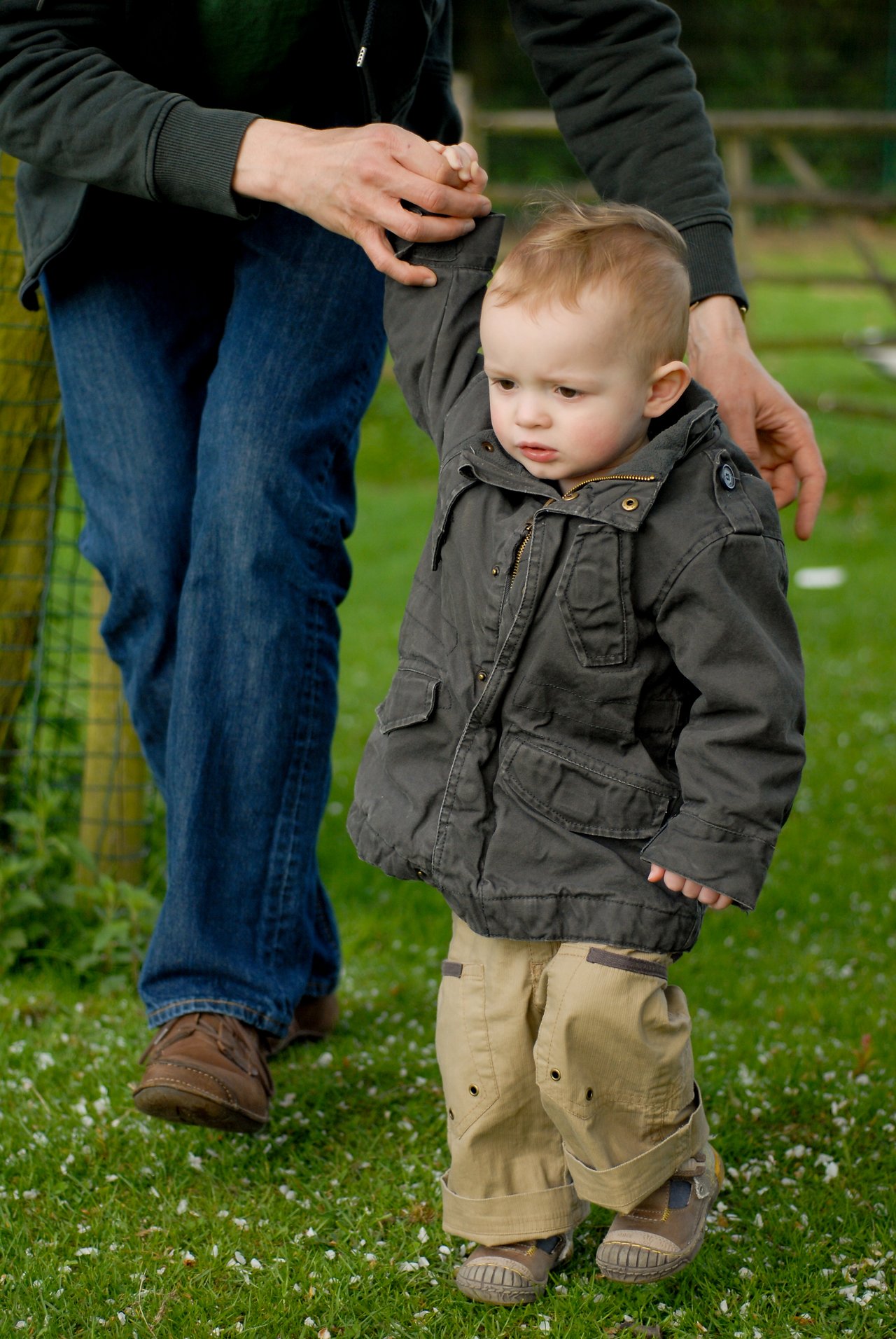 A young child in a jacket walks on grass while holding an adult's hand for support.