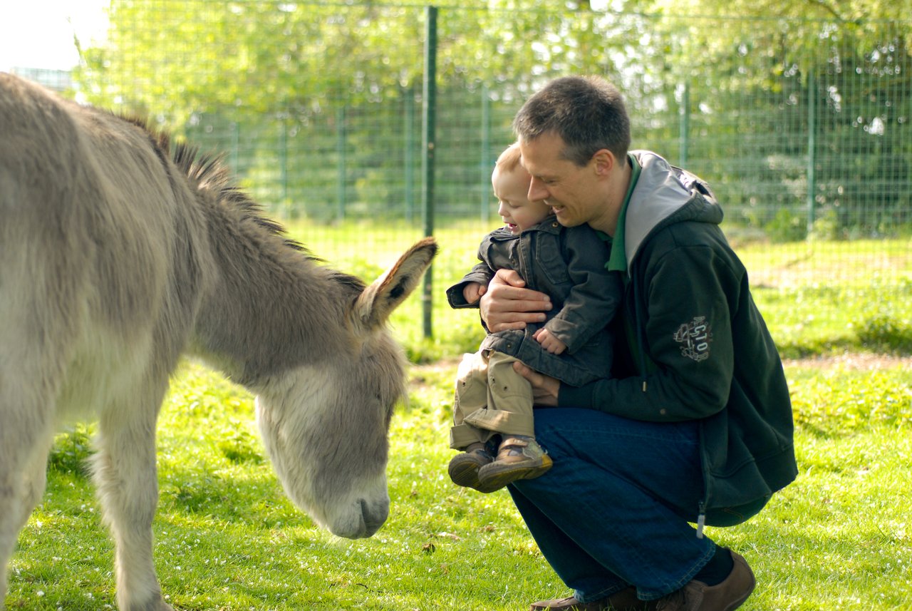 A man holds a young child close as they meet a donkey in a grassy farm setting.
