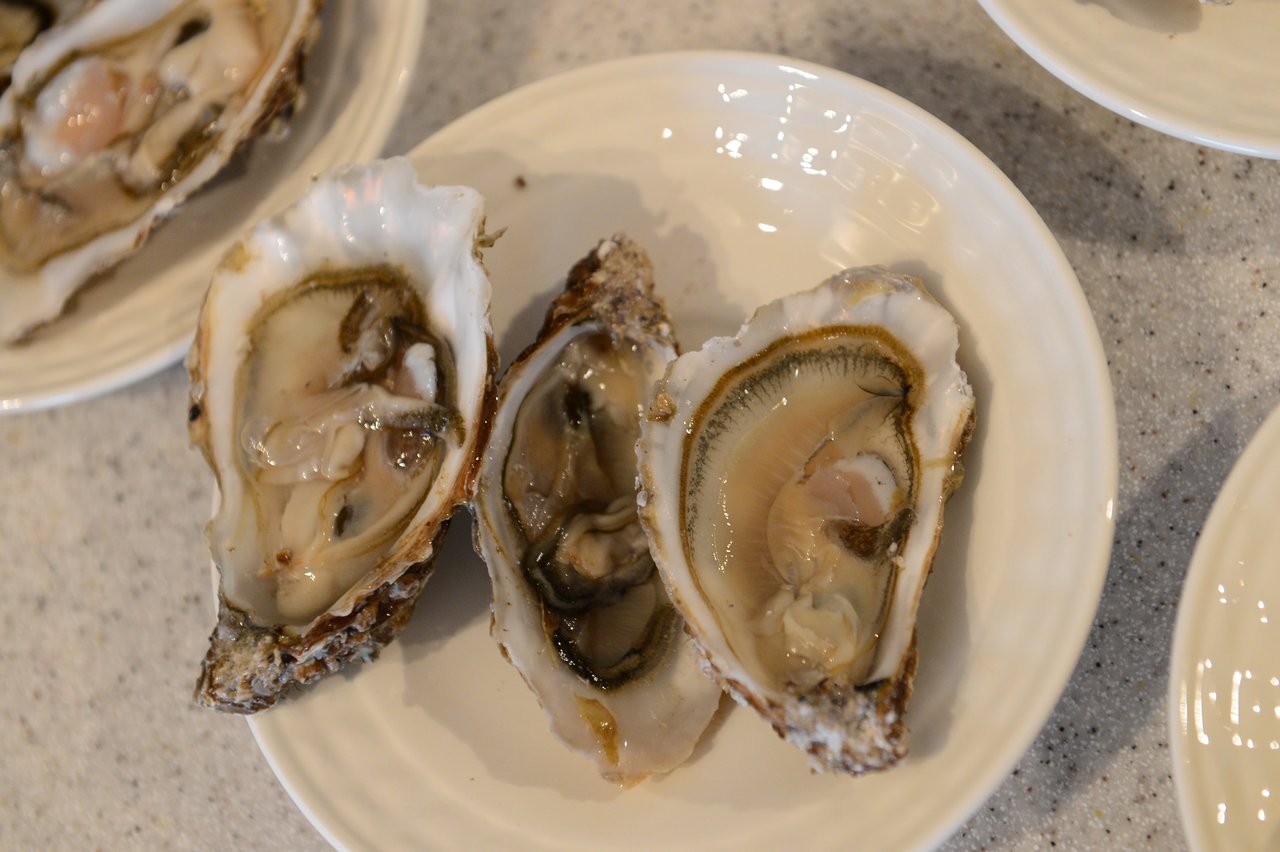 Three fresh oysters on a white plate, served in their shells.