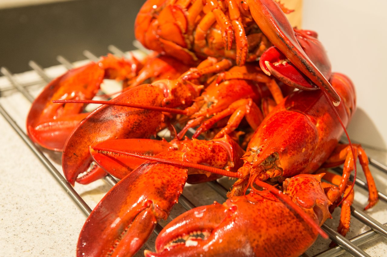 Cooked lobsters with bright red shells are piled on a metal rack in a kitchen.