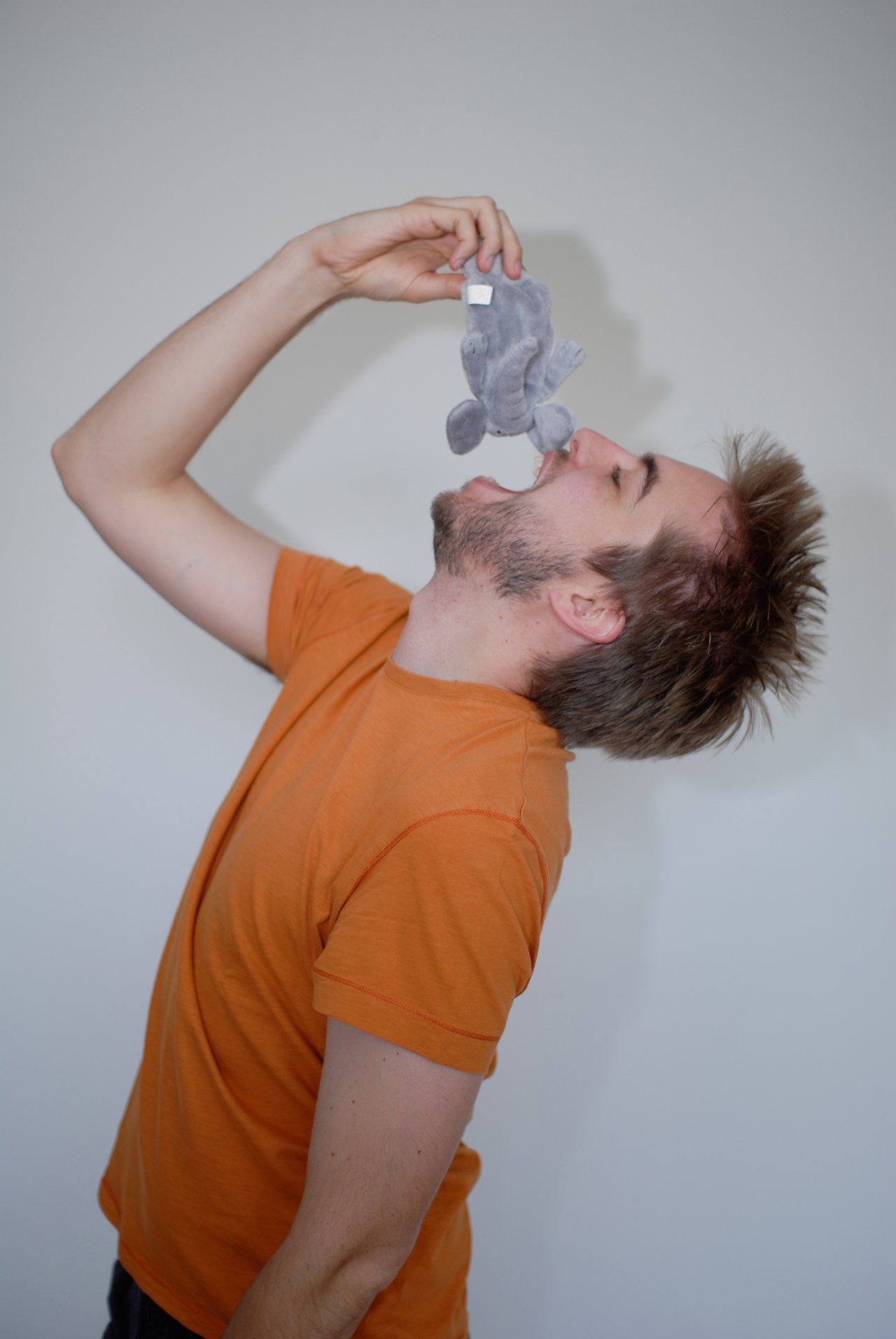 A man in an orange shirt playfully pretends to eat a small gray stuffed elephant.