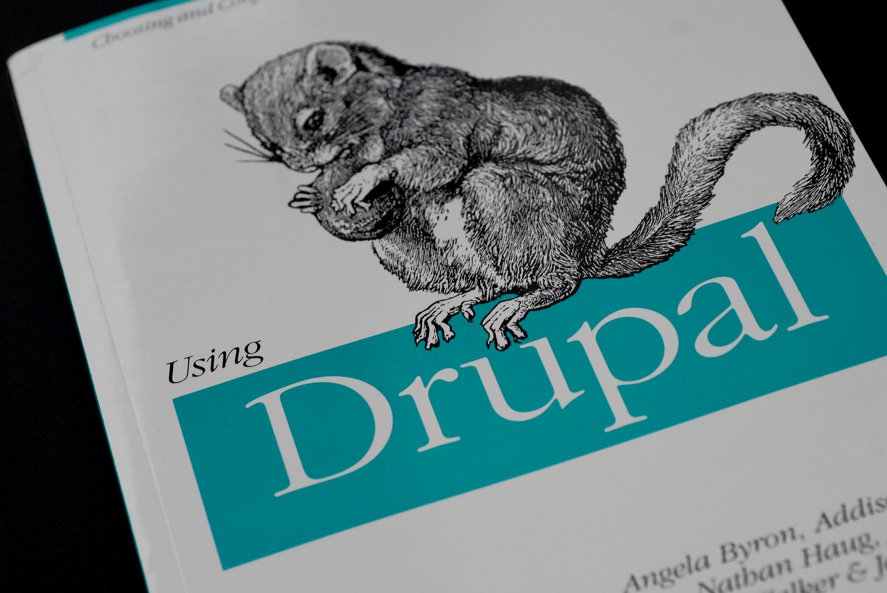 Close-up of the book cover "Using Drupal" with an illustrated rodent and bold typography on a white background.