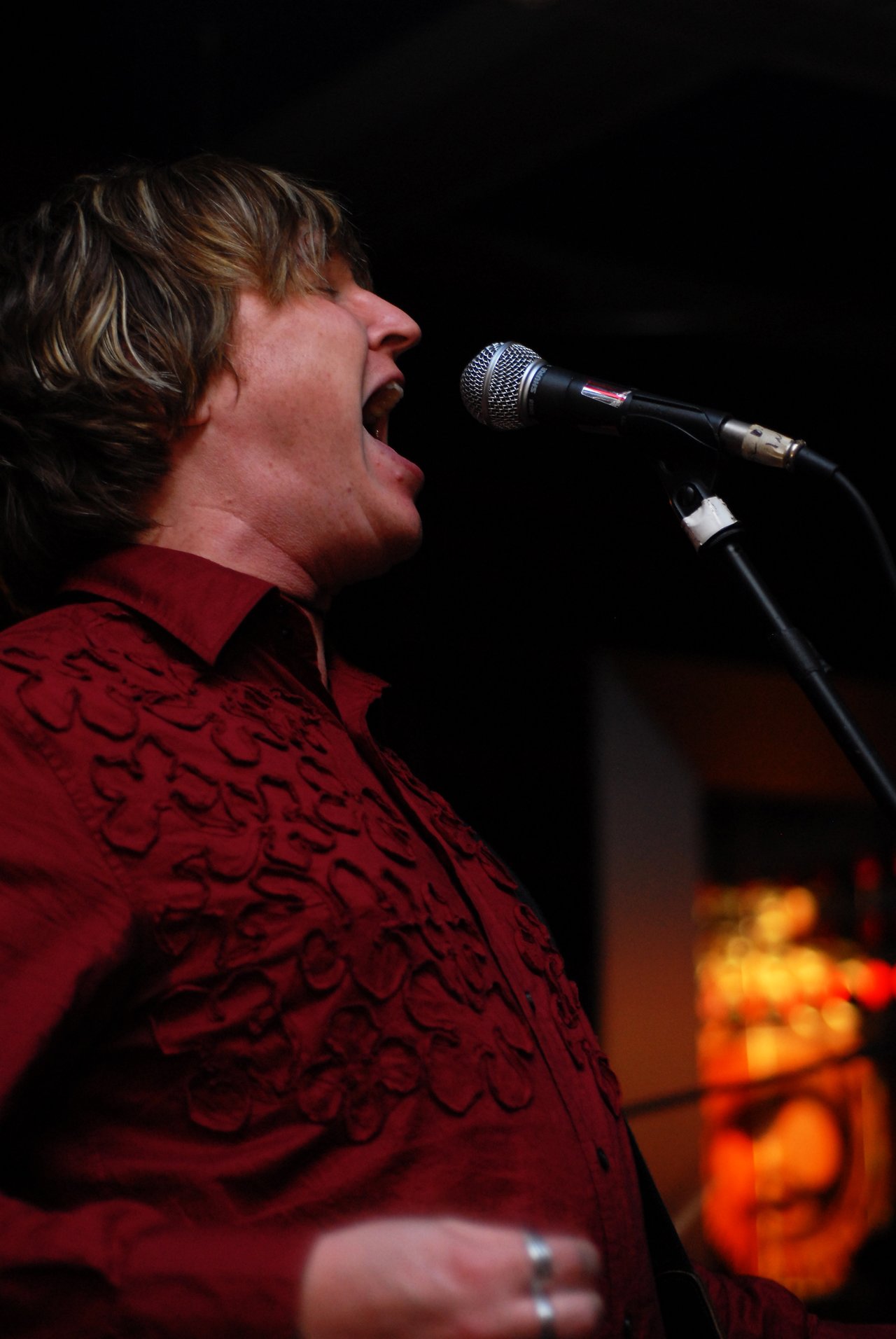 A musician in a red shirt sings into a microphone during a live performance.